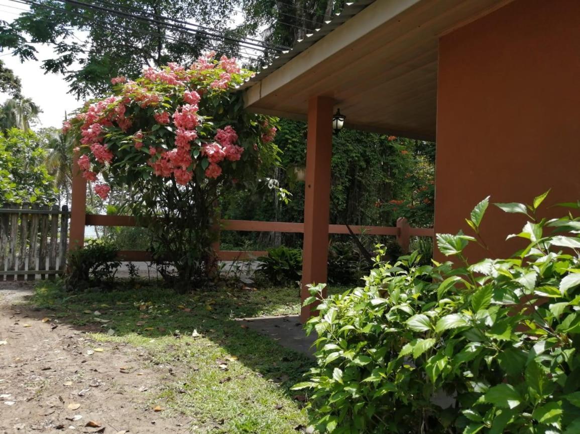 Cahuita Lodge Екстер'єр фото